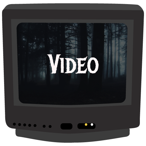 VideoTV